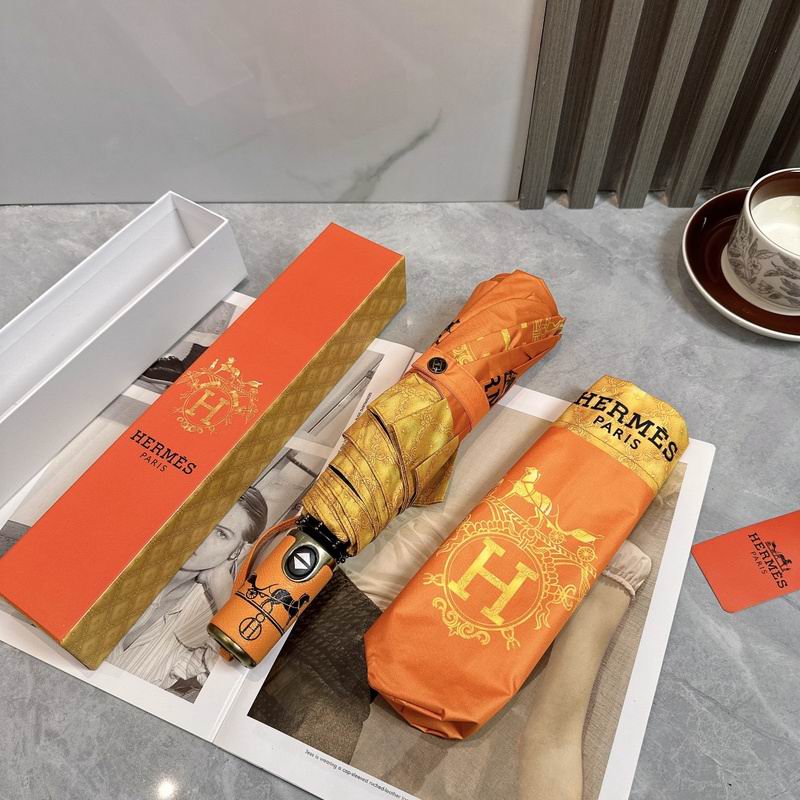 Hermes Umbrella hm (2)