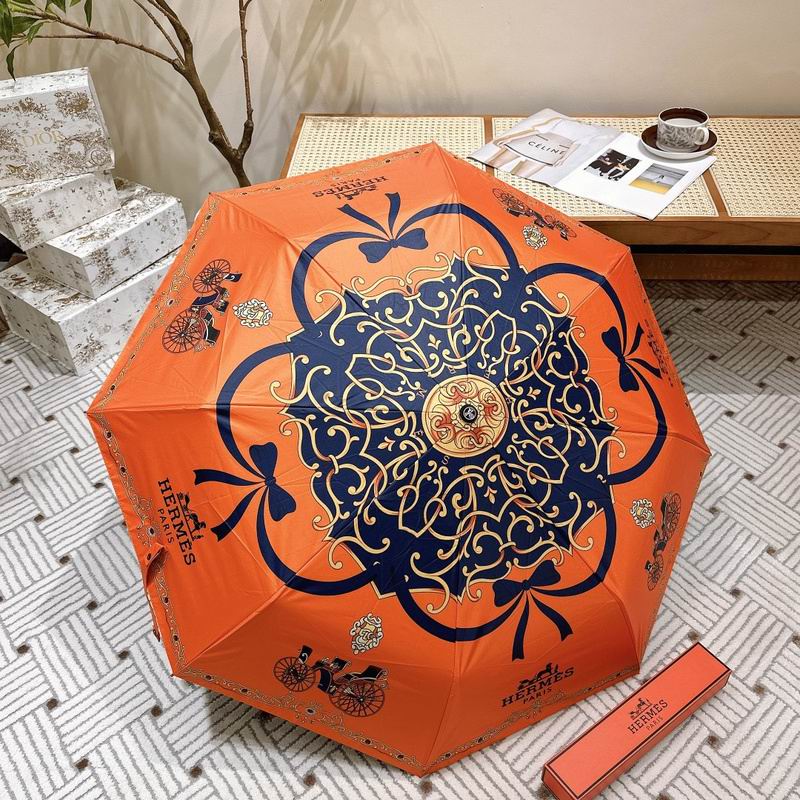 Hermes Umbrella hm (20)