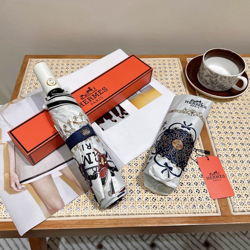 Hermes Umbrella hm (21)