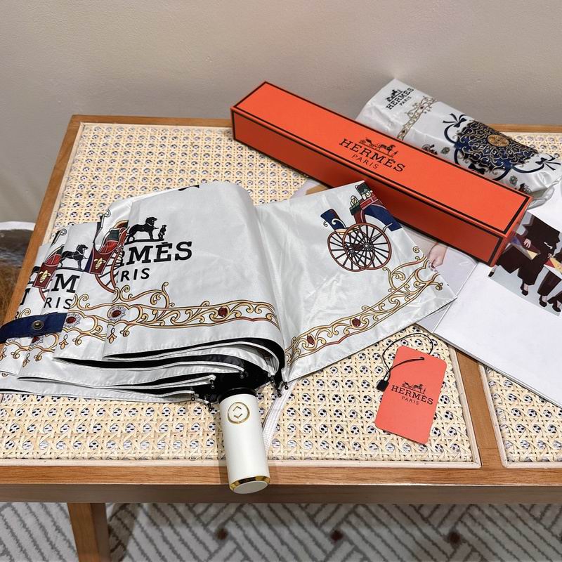 Hermes Umbrella hm (22)