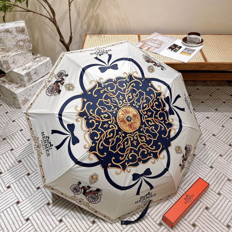 Hermes Umbrella hm (23)