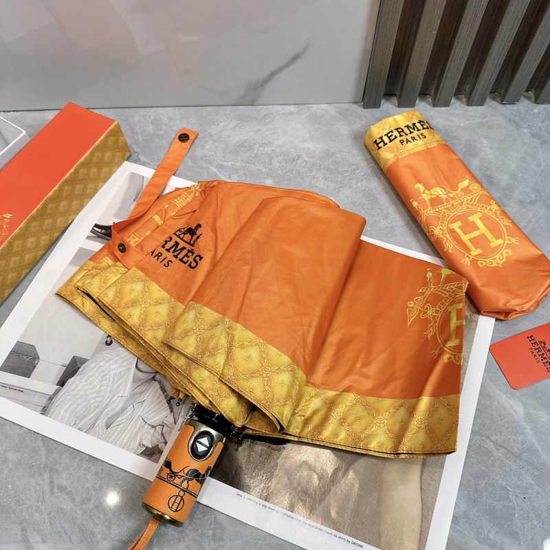 Hermes Umbrella hm (3)
