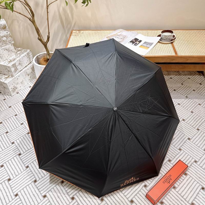Hermes Umbrella hm (30)