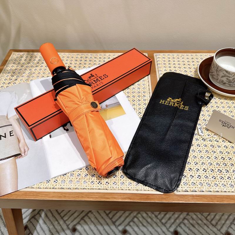 Hermes Umbrella hm (31)