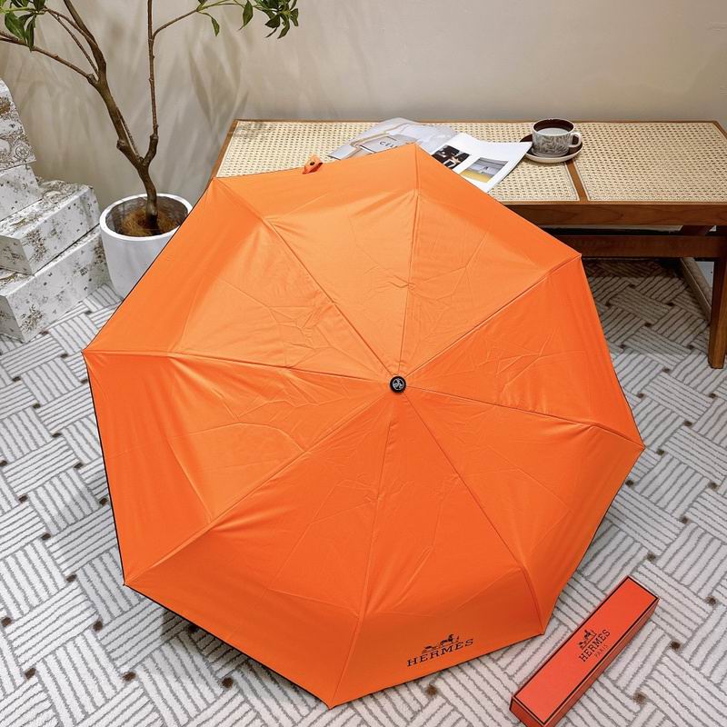 Hermes Umbrella hm (33)