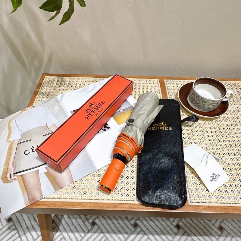 Hermes Umbrella hm (34)