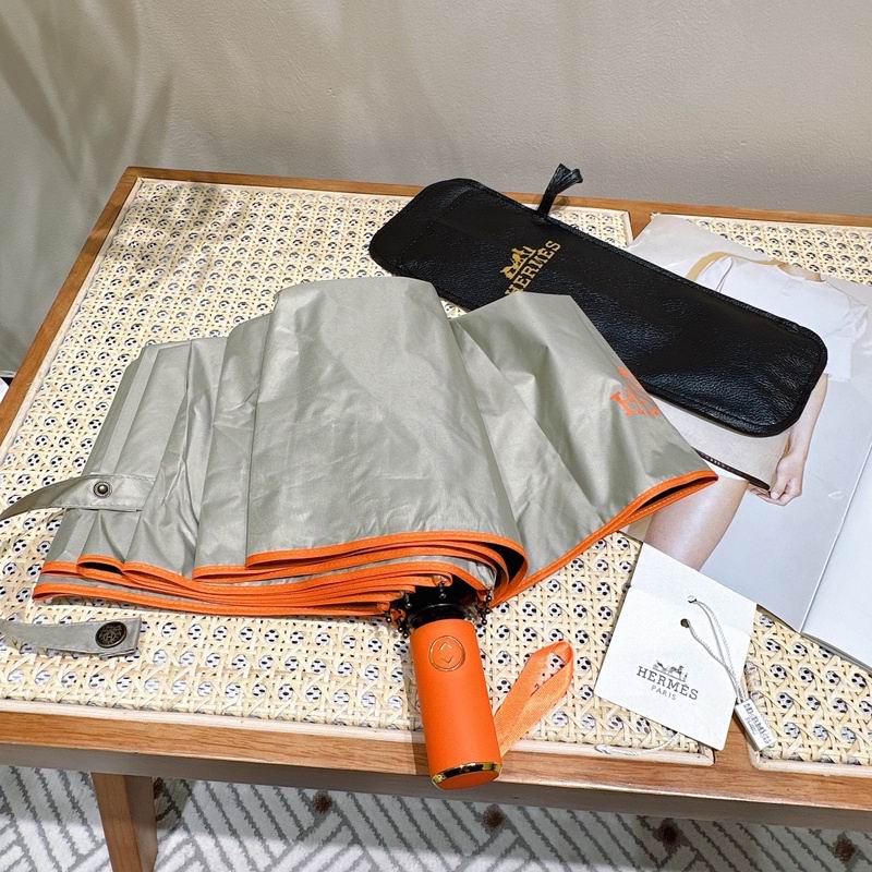 Hermes Umbrella hm (35)