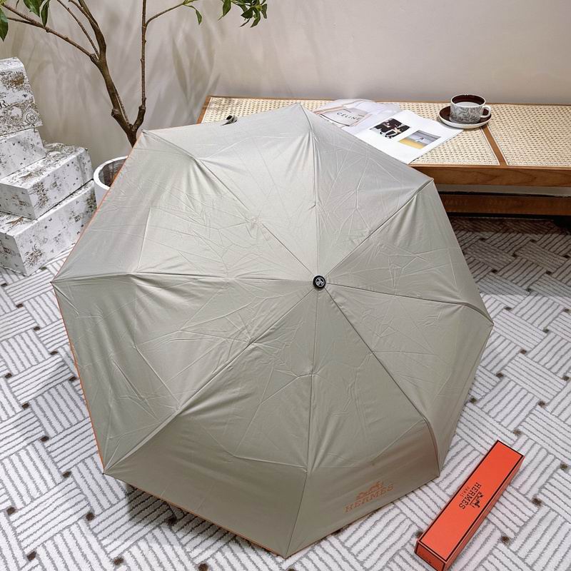 Hermes Umbrella hm (36)