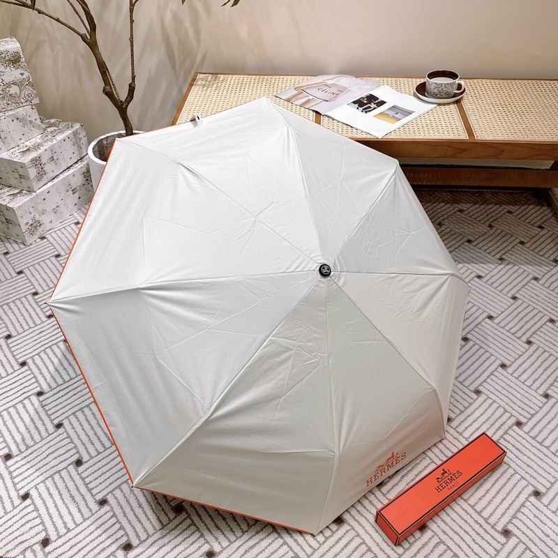 Hermes Umbrella hm (39)