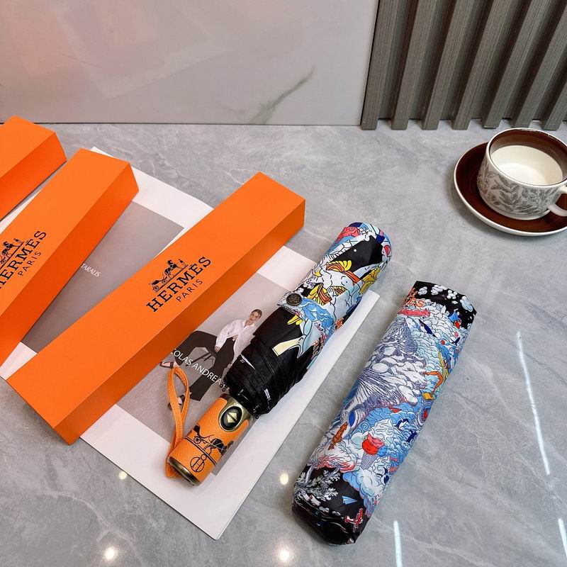 Hermes Umbrella hm (56)