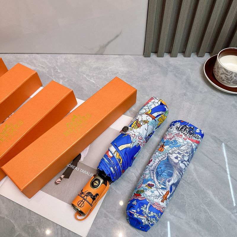 Hermes Umbrella hm (59)