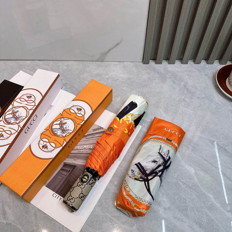 Hermes Umbrella hm (75)