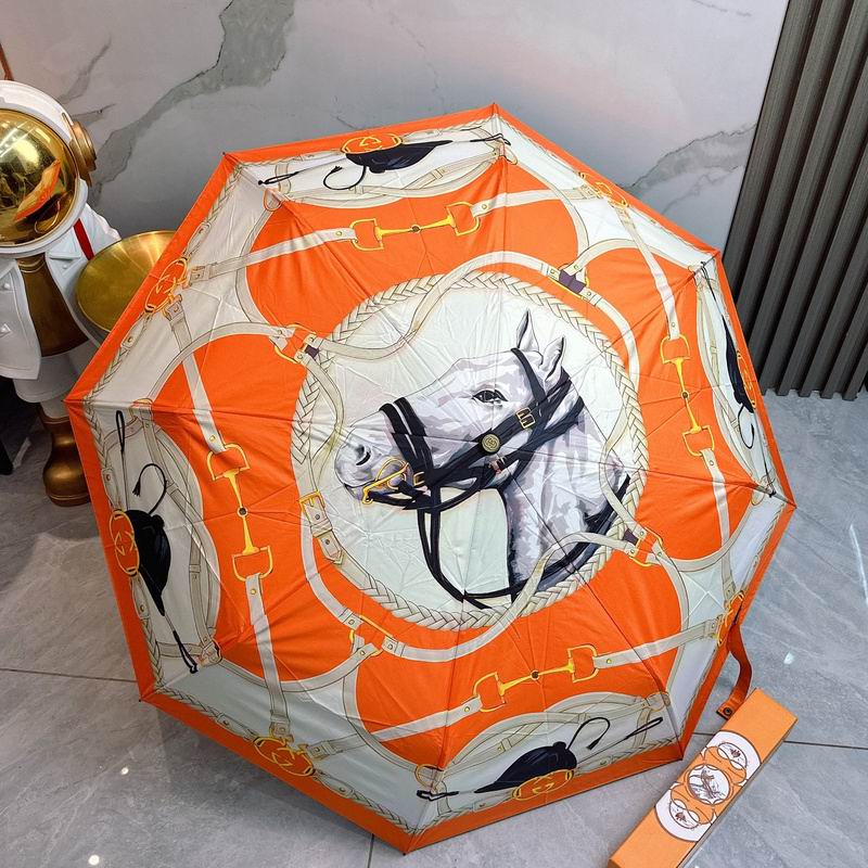 Hermes Umbrella hm (77)