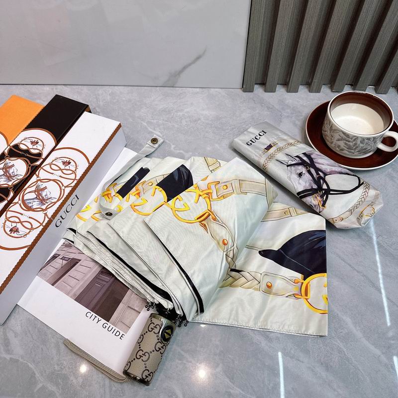 Hermes Umbrella hm (79)