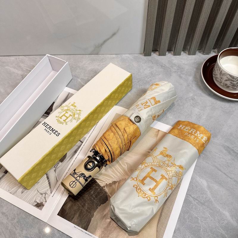 Hermes Umbrella hm (8)