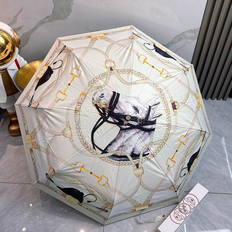 Hermes Umbrella hm (80)