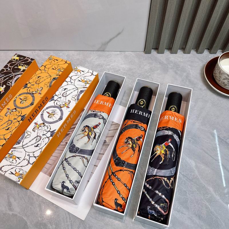 Hermes Umbrella hm (84)