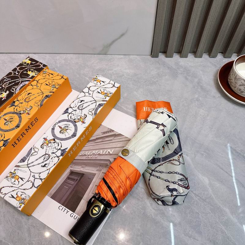 Hermes Umbrella hm (85)
