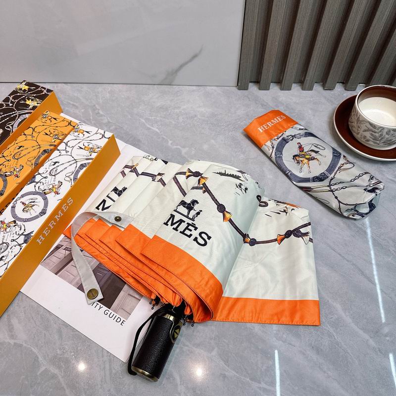Hermes Umbrella hm (86)