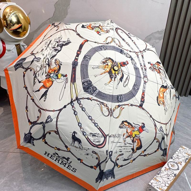 Hermes Umbrella hm (87)
