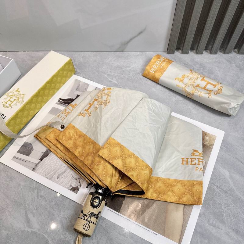 Hermes Umbrella hm (9)