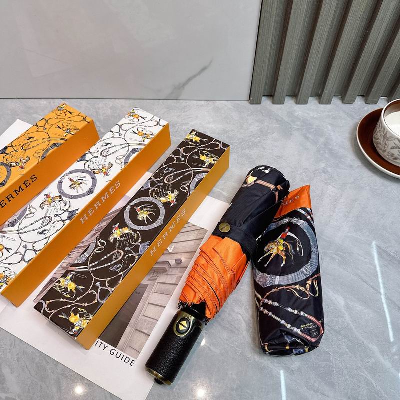 Hermes Umbrella hm (91)