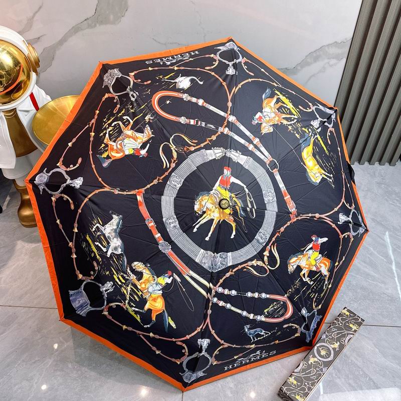 Hermes Umbrella hm (93)