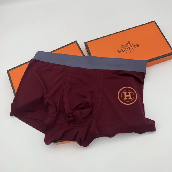 Hermes boxer L-3XL 13gx01 (7)
