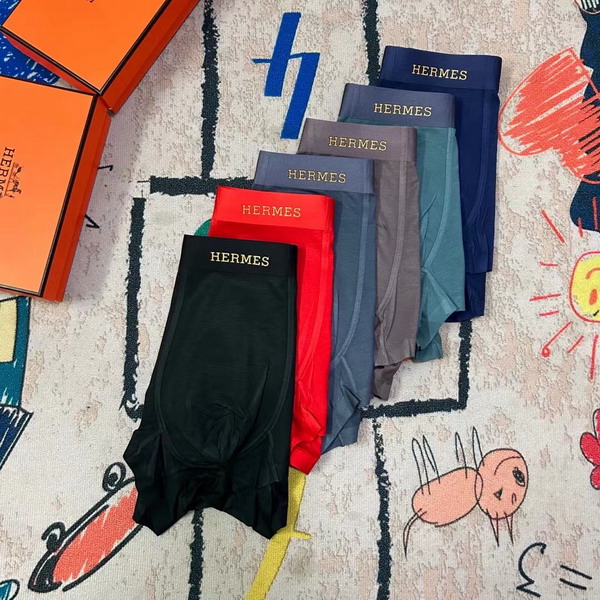 Hermes boxer L-3XL 13gx02 (2)