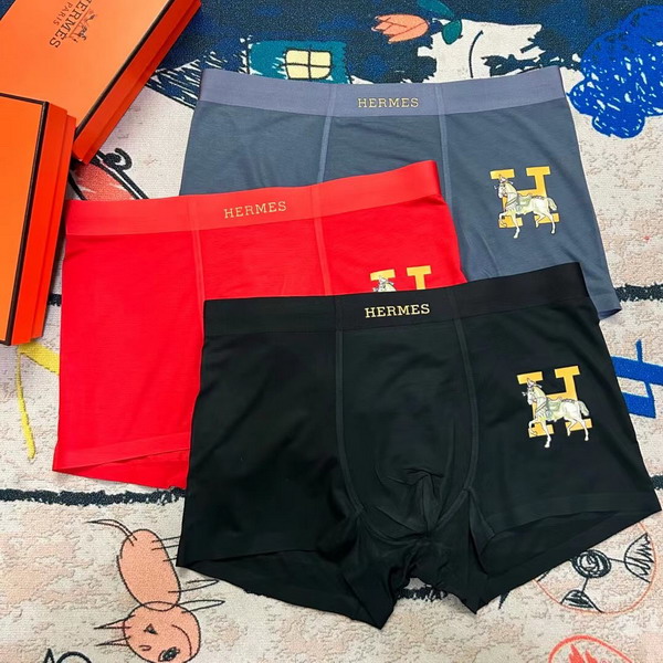 Hermes boxer L-3XL 13gx02 (4)