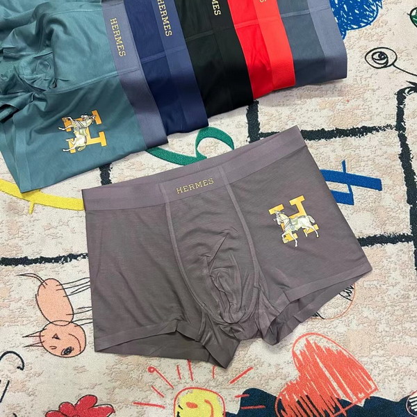 Hermes boxer L-3XL 13gx02 (5)