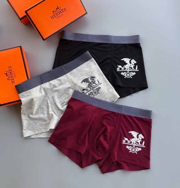 Hermes boxer L-3XL 13gx03 (1)