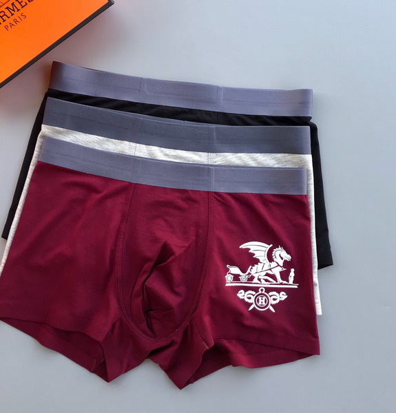 Hermes boxer L-3XL 13gx03 (2)