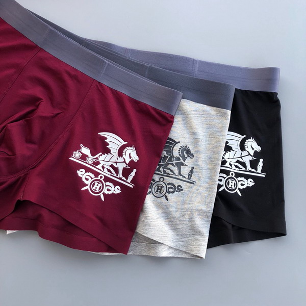 Hermes boxer L-3XL 13gx03 (3)