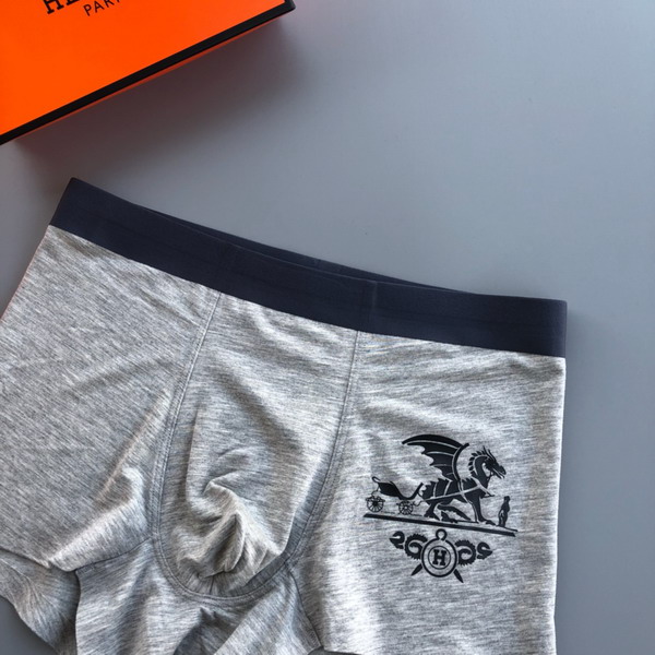 Hermes boxer L-3XL 13gx03 (5)