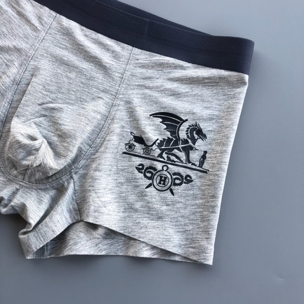 Hermes boxer L-3XL 13gx03 (8)