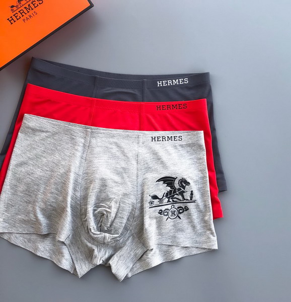 Hermes boxer L-3XL 13gx04 (1)