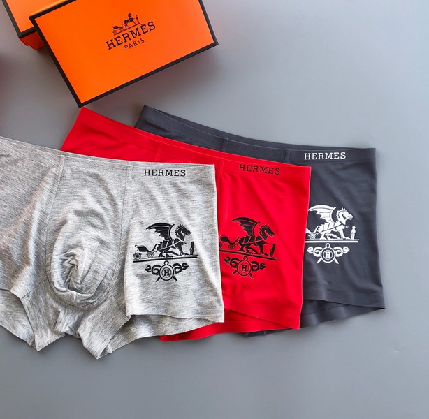 Hermes boxer L-3XL 13gx04 (2)