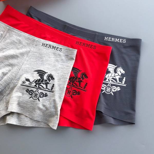 Hermes boxer L-3XL 13gx04 (4)