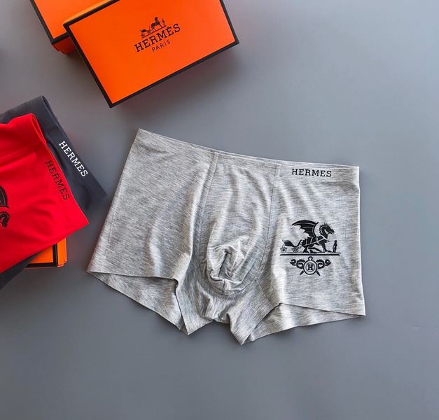 Hermes boxer L-3XL 13gx04 (5)