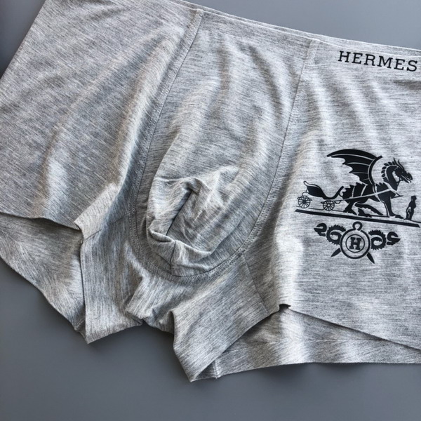 Hermes boxer L-3XL 13gx04 (7)