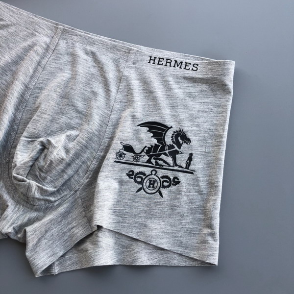 Hermes boxer L-3XL 13gx04 (8)