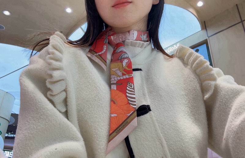 Hermes silk ribbon hm (117)