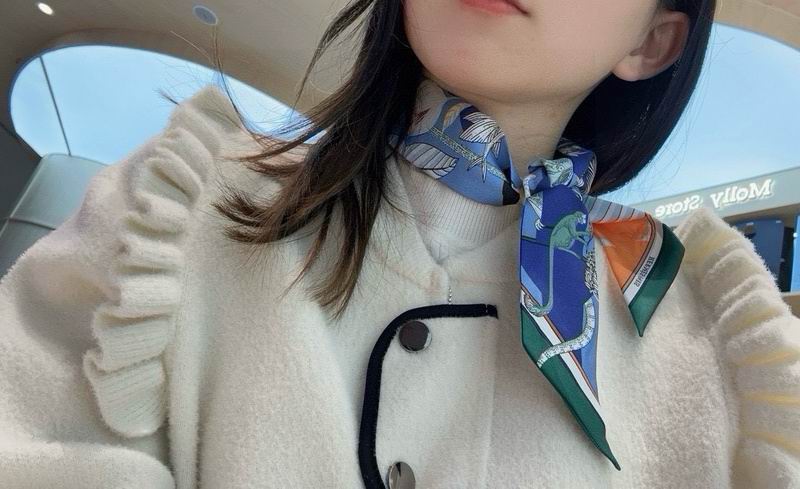 Hermes silk ribbon hm (120)