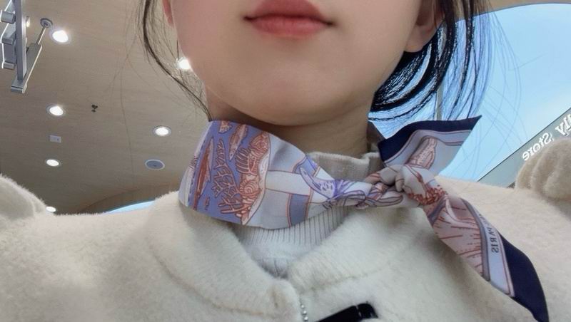 Hermes silk ribbon hm (123)