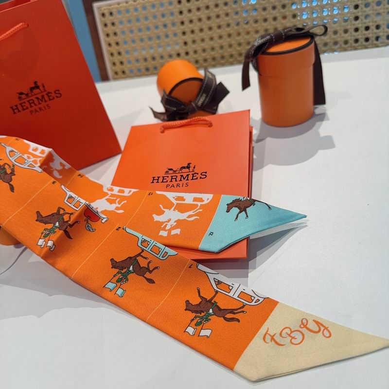 Hermes silk ribbon hm (133)