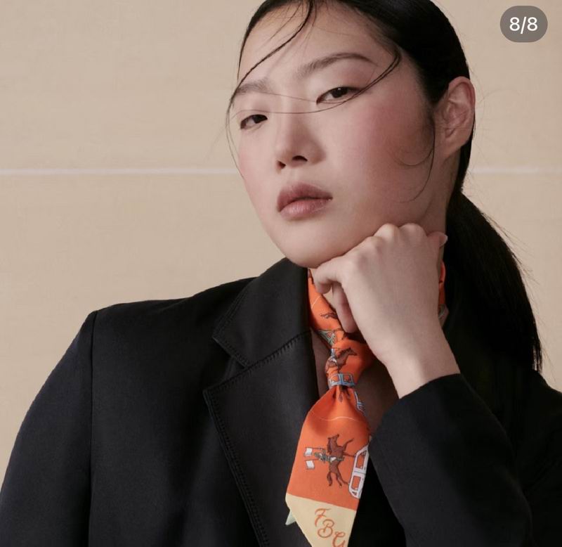 Hermes silk ribbon hm (135)