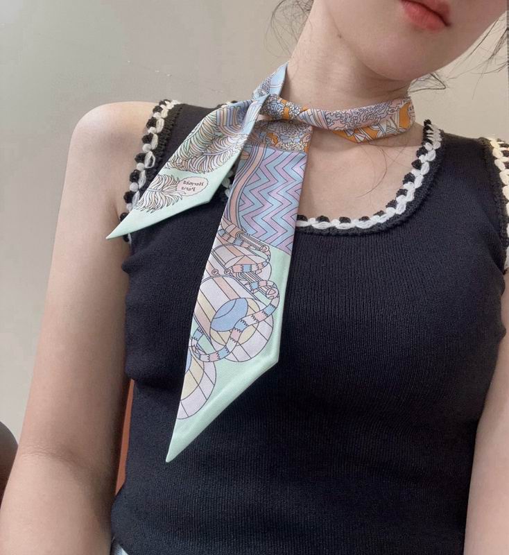 Hermes silk ribbon hm (160)