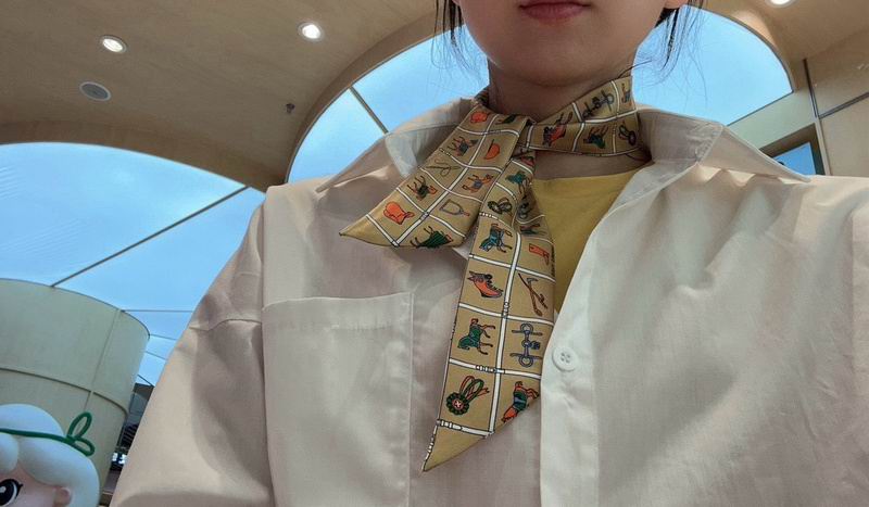 Hermes silk ribbon hm (167)