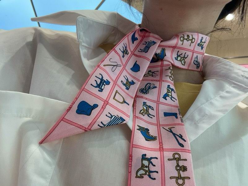 Hermes silk ribbon hm (173)